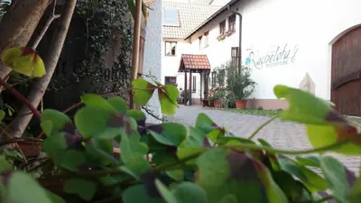 Ein Garten an der Unterkunft Kachelofa GbR