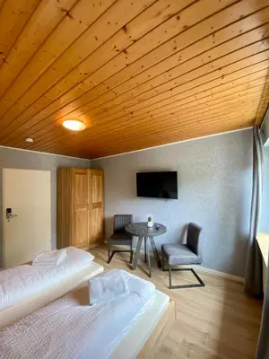 TV/Unterhaltungsangebot in der Unterkunft Gemminger Gasthaus