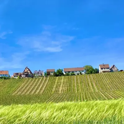Komforthaus Gartenfreude