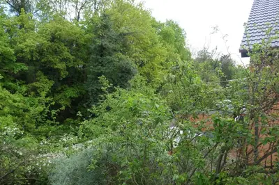 Ein Garten an der Unterkunft Ruhige 4-Zi-Wohnung mit großem Balkon und Blick ins Grüne