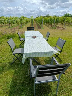 Grundriss der Unterkunft Herzlich inmitten der Weinreben