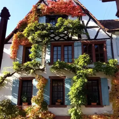 Im Alten Kaufhaus
