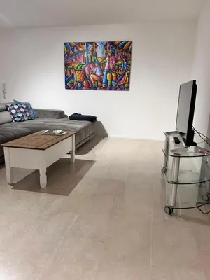 TV/Unterhaltungsangebot in der Unterkunft Feel@Home Apartment, Blackforest, calm&cosy, 80sqm