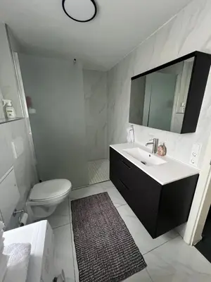 Ein Badezimmer in der Unterkunft Gemütlich wohnen Sinsheim