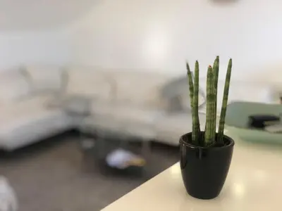 Ein Sitzbereich in der Unterkunft Caleva’s BnB