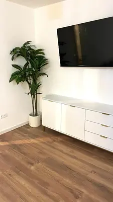 TV/Unterhaltungsangebot in der Unterkunft City Appartement direkt am Schloss!