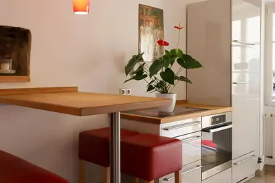 Küche/Küchenzeile in der Unterkunft Luxus-Apartment im Sternenhof