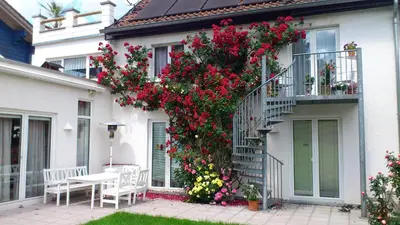 Ein Garten an der Unterkunft Appartement Am Turm
