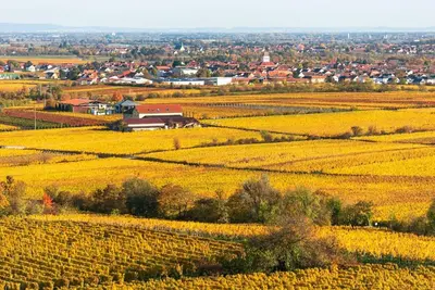 Naturlandschaft in der Nähe der Ferienwohnung