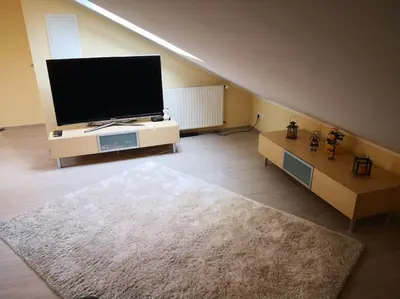 TV/Unterhaltungsangebot in der Unterkunft Über den Dächern von Mörfelden-Walldorf