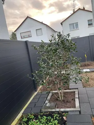 Grundriss der Unterkunft Luis Zimmer Wohnung Rüsselsheim O1