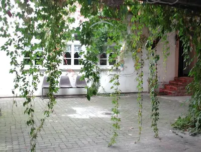 Ein Garten an der Unterkunft Südpfalz