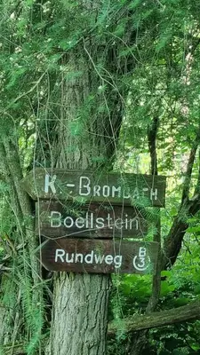 Naturlandschaft in der Nähe der Ferienwohnung
