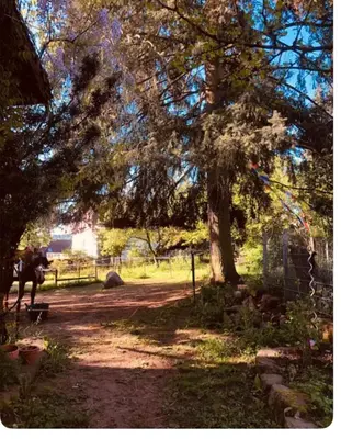 Ein Garten an der Unterkunft Ferienwohnungen auf einem ehemaligen Bauernhof