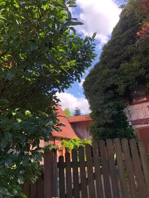 Ein Garten an der Unterkunft Ferienwohnungen auf einem ehemaligen Bauernhof