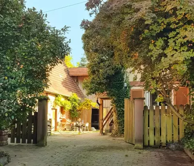 Ein Garten an der Unterkunft Ferienwohnungen auf einem ehemaligen Bauernhof