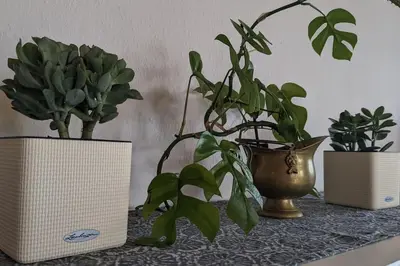 Grundriss der Unterkunft Ferienoase mit Dachterrasse nahe Sankt Leoner See