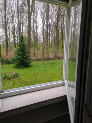 Ein Garten an der Unterkunft L8 Street Monteurwohnung - Karlsruhe