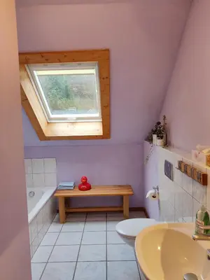 Ein Badezimmer in der Unterkunft Ferienhaus Route 5