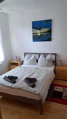 Ein Bett oder Betten in einem Zimmer der Unterkunft Schöne Wohnung in Worms Private Gastgeber
