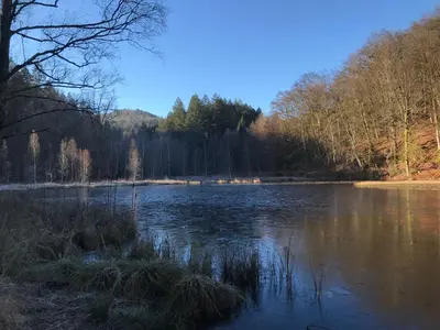 Naturlandschaft in der Nähe der Ferienwohnung