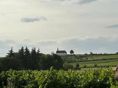 Naturlandschaft in der Nähe des Ferienhauses
