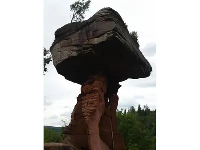 Naturlandschaft in der Nähe des Ferienhauses