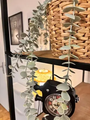 Essen in der Ferienwohnung oder in der Nähe
