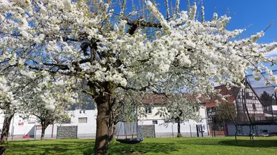 Ein Garten an der Unterkunft Ferienwohnung Zur Hofreite 6