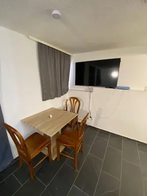 TV/Unterhaltungsangebot in der Unterkunft Appartement Somptueux a Unterheinriet
