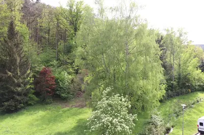 Naturlandschaft in der Nähe der Ferienwohnung