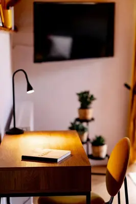 TV/Unterhaltungsangebot in der Unterkunft birds-nest Ferienwohnung Balkon Kaminofen
