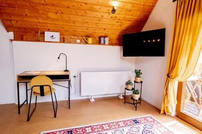 TV/Unterhaltungsangebot in der Unterkunft birds-nest Ferienwohnung Balkon Kaminofen