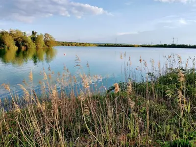 Naturlandschaft in der Nähe der Ferienwohnung