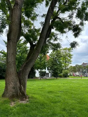 Ein Garten an der Unterkunft Am Dollespark