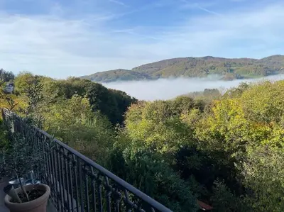 Naturlandschaft in der Nähe der Ferienwohnung