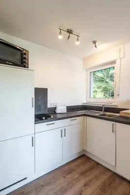 Küche/Küchenzeile in der Unterkunft 1-Zimmerapartment Am Hochwald