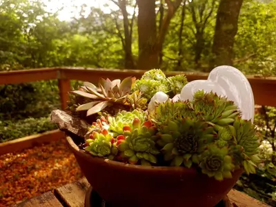 Ein Garten an der Unterkunft Ferienwohnung Lug