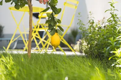 Ein Garten an der Unterkunft Lemon3 - privater Garten mit Grill, Mini-Gym, zentral in Karlsruhe
