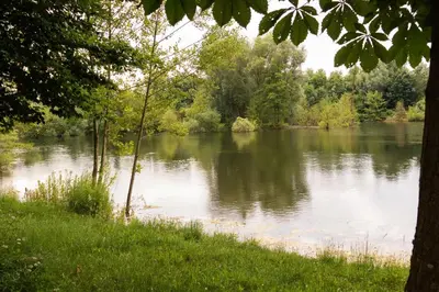 Blick auf einen Fluss in der Nähe des Ferienhauses
