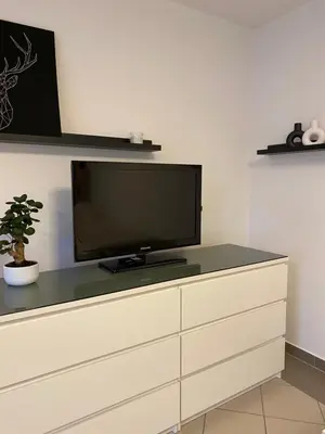 TV/Unterhaltungsangebot in der Unterkunft Einzimmer Apartment