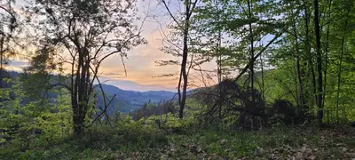 Naturlandschaft in der Nähe der Ferienwohnung