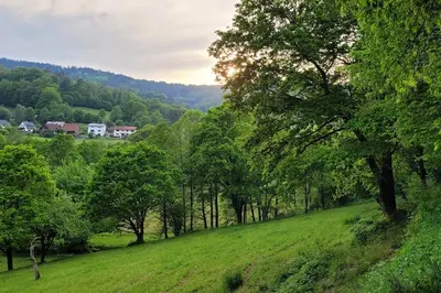 Naturlandschaft in der Nähe der Ferienwohnung