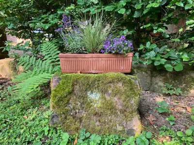 Ein Garten an der Unterkunft Ferienwohnung in historischer Mühle