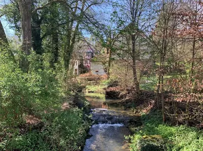 Naturlandschaft in der Nähe der Ferienwohnung