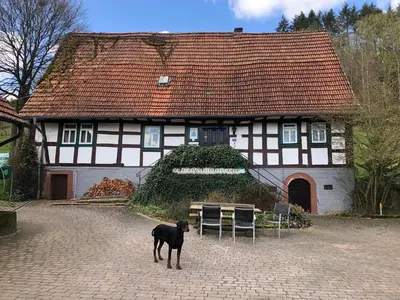 Haustiere von Gästen der Unterkunft Ferienwohnungen Hanst