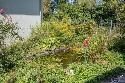 Ein Garten an der Unterkunft Ferienwohnung BIG bei Tripsdrill