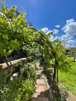 Ein Garten an der Unterkunft Huus Bellevue
