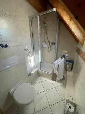 Ein Badezimmer in der Unterkunft Glattbacher Hof Ferienwohnung 9