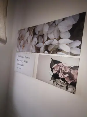 Tiere in der Ferienwohnung oder in der Nähe